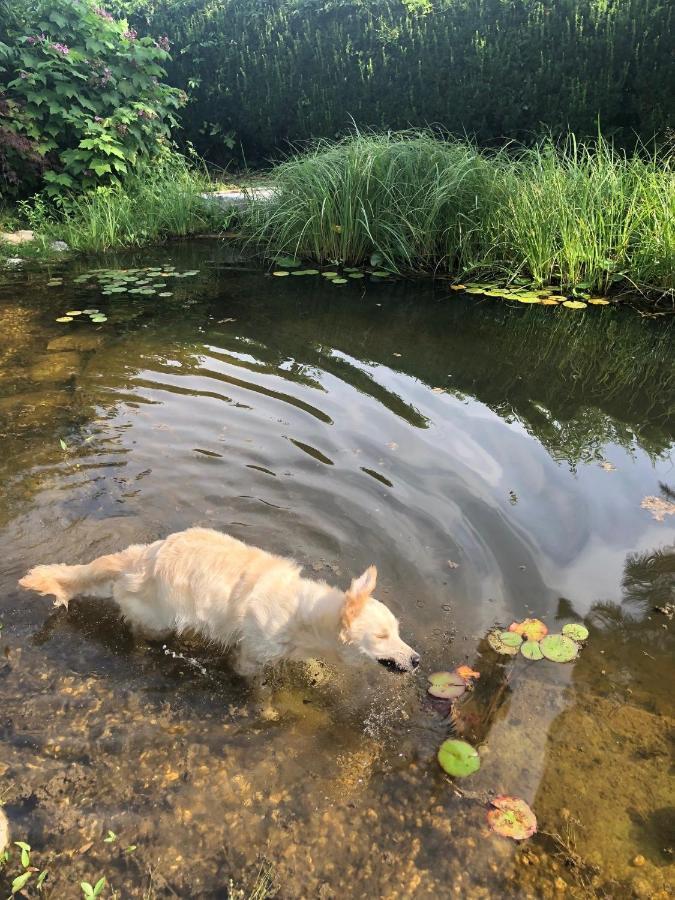 Millies Hosting - Familienurlaub Mit Hund In Kaernten Sankt Paul im Lavanttal Exteriör bild