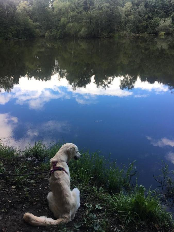 Millies Hosting - Familienurlaub Mit Hund In Kaernten Sankt Paul im Lavanttal Exteriör bild