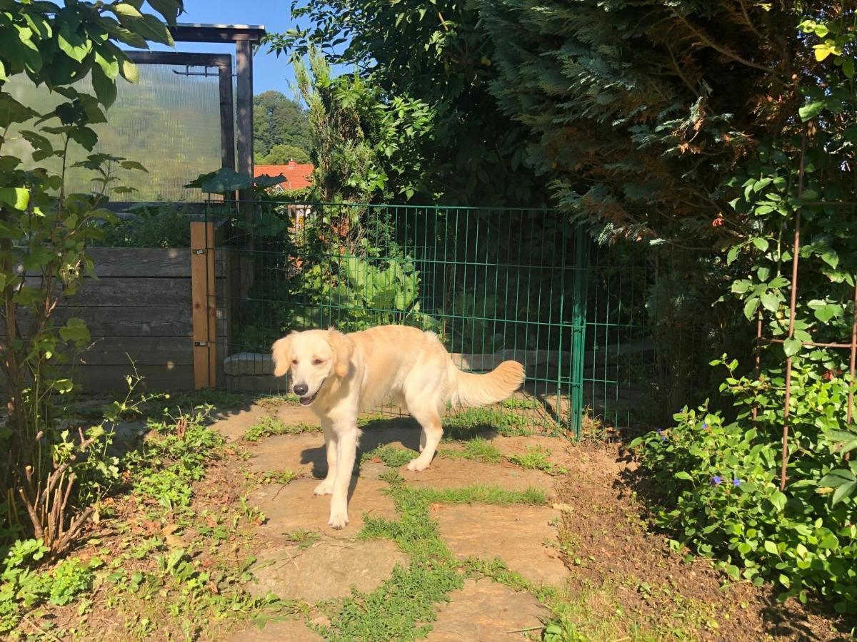 Millies Hosting - Familienurlaub Mit Hund In Kaernten Sankt Paul im Lavanttal Exteriör bild