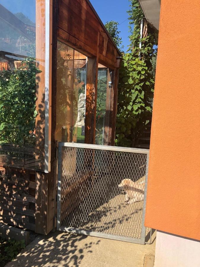 Millies Hosting - Familienurlaub Mit Hund In Kaernten Sankt Paul im Lavanttal Exteriör bild