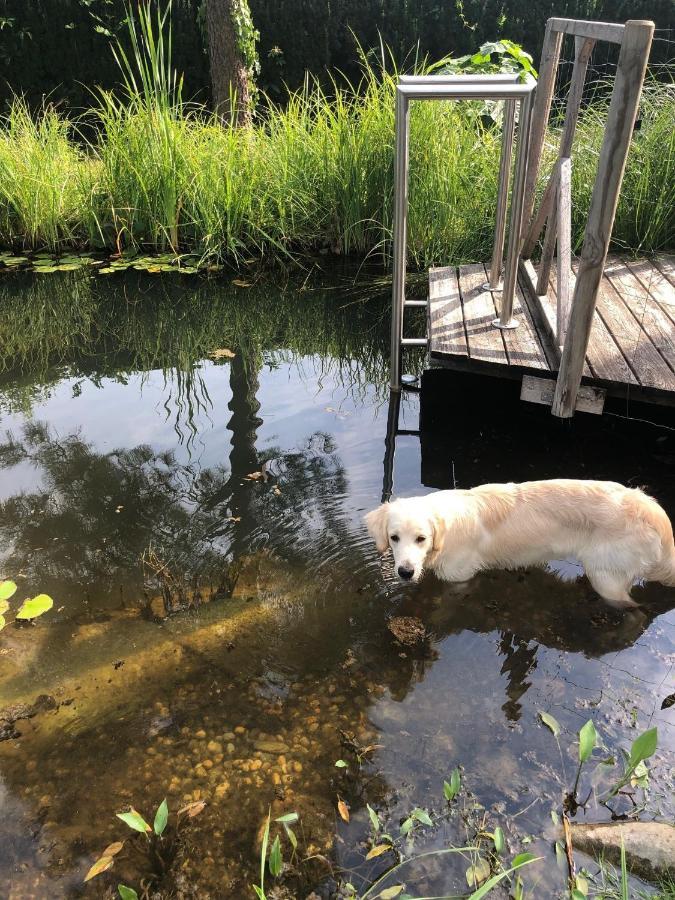 Millies Hosting - Familienurlaub Mit Hund In Kaernten Sankt Paul im Lavanttal Exteriör bild