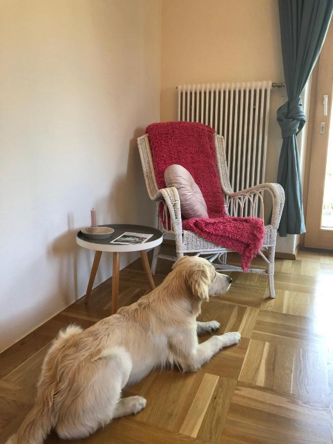 Millies Hosting - Familienurlaub Mit Hund In Kaernten Sankt Paul im Lavanttal Exteriör bild
