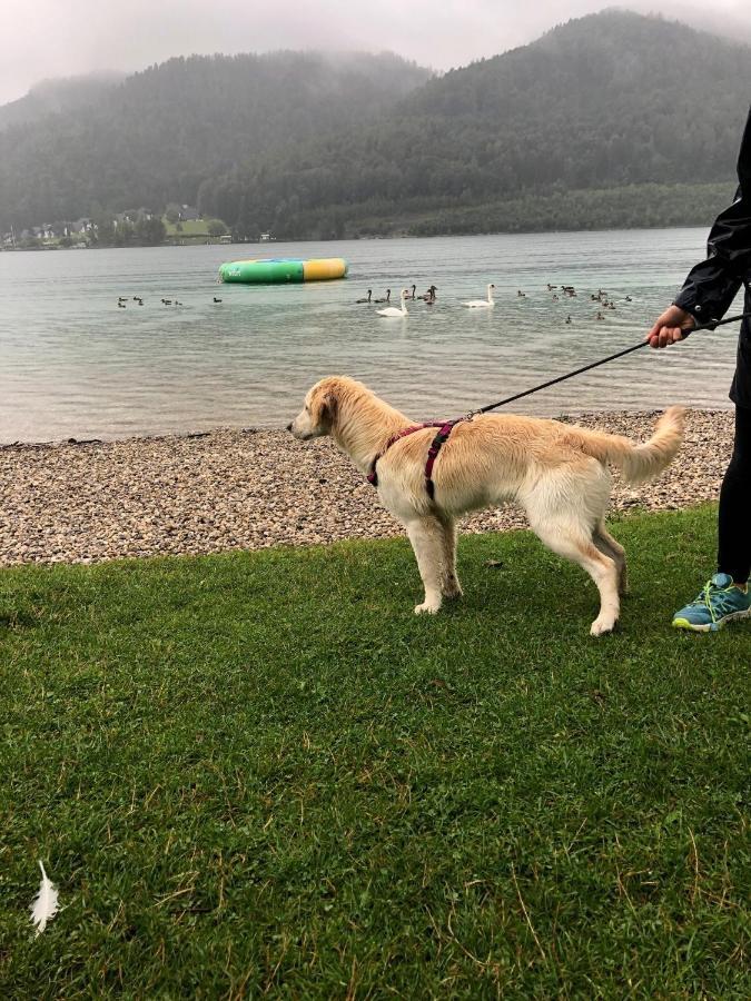 Millies Hosting - Familienurlaub Mit Hund In Kaernten Sankt Paul im Lavanttal Exteriör bild