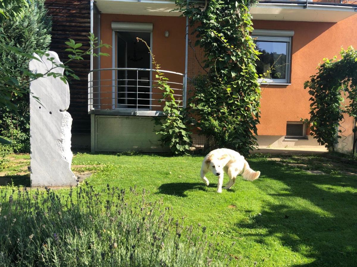 Millies Hosting - Familienurlaub Mit Hund In Kaernten Sankt Paul im Lavanttal Exteriör bild