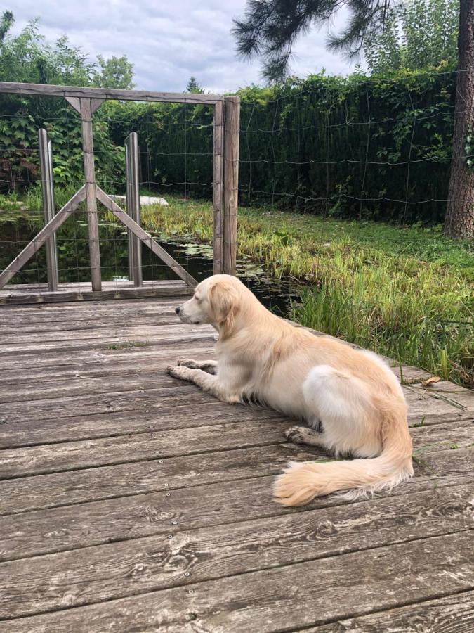 Millies Hosting - Familienurlaub Mit Hund In Kaernten Sankt Paul im Lavanttal Exteriör bild