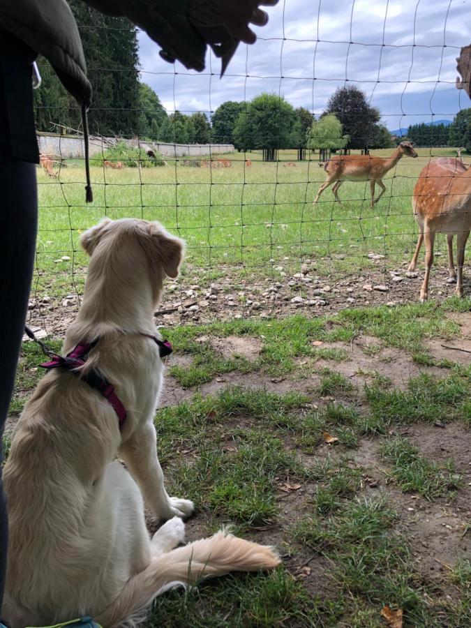 Millies Hosting - Familienurlaub Mit Hund In Kaernten Sankt Paul im Lavanttal Exteriör bild