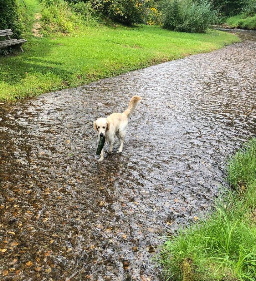 Millies Hosting - Familienurlaub Mit Hund In Kaernten Sankt Paul im Lavanttal Exteriör bild