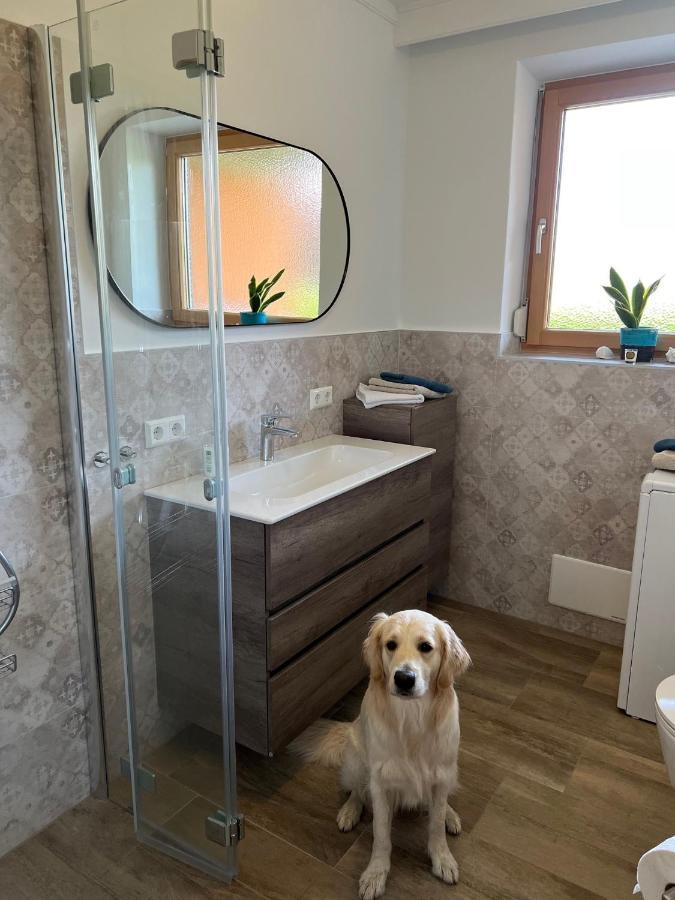 Millies Hosting - Familienurlaub Mit Hund In Kaernten Sankt Paul im Lavanttal Exteriör bild