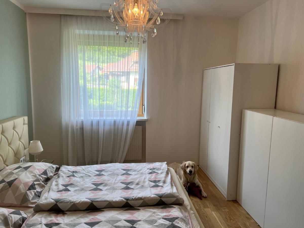 Millies Hosting - Familienurlaub Mit Hund In Kaernten Sankt Paul im Lavanttal Exteriör bild
